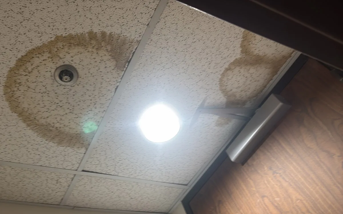 Ring-shaped water stains spreading across ceiling tiles around a light fixture