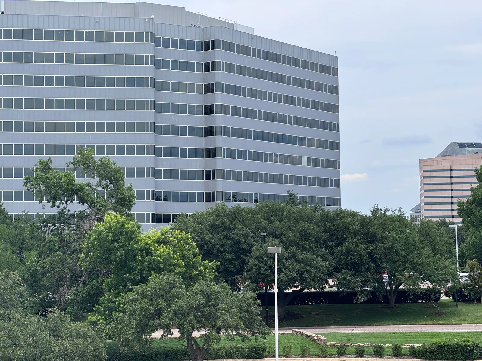 Office tower behind mature trees in Dallas–Fort Worth