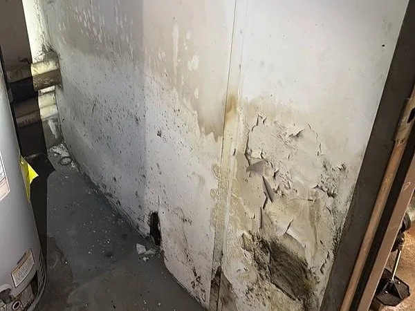 Water-stained, peeling wall finish along the base of a boiler room wall